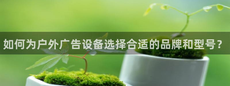 杏宇平台好吗