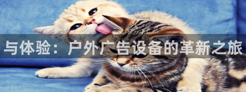 杏宇平台官网注册：与体验：户外广告设备的