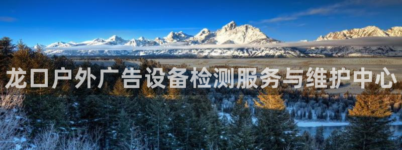 杏宇平台是什么：龙口户外广告设备检测服务